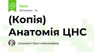 (Копія) Анатомія ЦНС