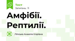Амфібії. Рептилії.