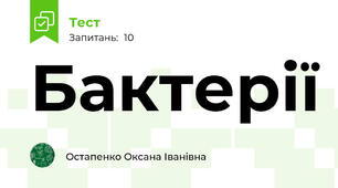 Бактерії