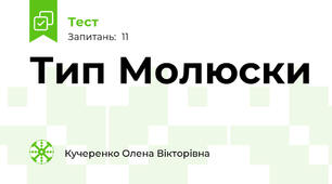 Тип Молюски