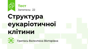  Структура еукаріотичної клітини