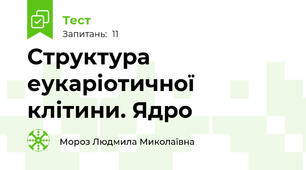 Структура еукаріотичної клітини. Ядро