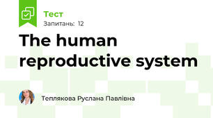 The human reproductive system