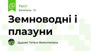 Земноводні і плазуни
