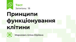 Принципи функціонування клітини