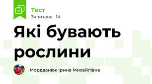 Які бувають рослини