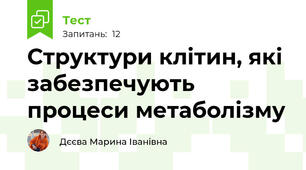 Структури клітин, які забезпечують процеси метаболізму
