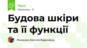 Будова шкіри та її функції