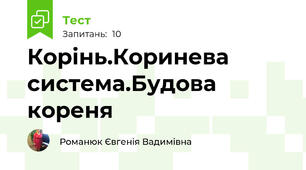 Корінь.Коринева система.Будова кореня