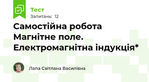 Самостійна робота  Магнітне поле. Електромагнітна індукція*