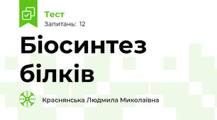 Біосинтез білків