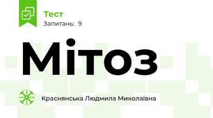 Мітоз