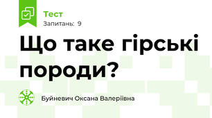 Що таке гірські породи?