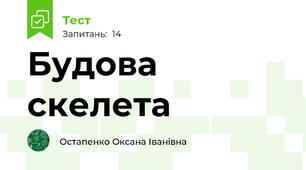 Будова скелета