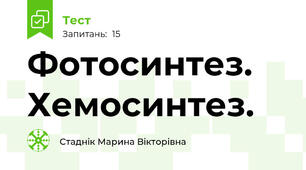Фотосинтез. Хемосинтез. 