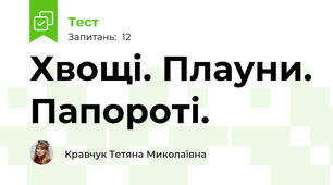 Хвощі. Плауни. Папороті. 