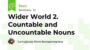 Wider World 2. Countable and Uncountable Nouns
