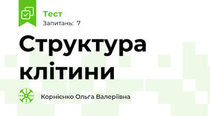 Структура клітини