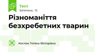 Різноманіття безхребетних тварин