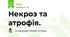 Некроз та атрофія.