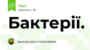 Бактерії. 