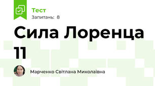 Сила Лоренца 11