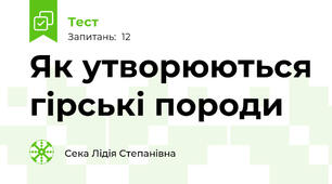 Як утворюються гірські породи