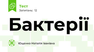 Бактерії