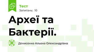 Археї та Бактерії. 