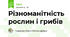Різноманітність рослин і грибів