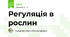 Регуляція в рослин