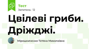   Цвілеві гриби. Дріжджі.