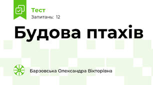 Будова птахів