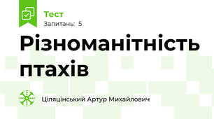 Різноманітність птахів