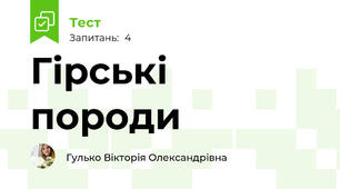 Гірські породи
