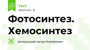 Фотосинтез. Хемосинтез