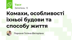 Комахи, особливості їхньої будови та способу життя