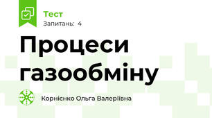Процеси газообміну