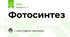 Фотосинтез