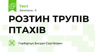 РОЗТИН ТРУПІВ ПТАХІВ