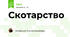Скотарство