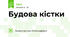 Будова кістки 