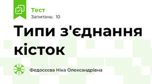 Типи з'єднання кісток 
