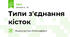 Типи з'єднання кісток 