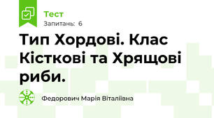 Тип Хордові. Клас Кісткові та Хрящові риби.