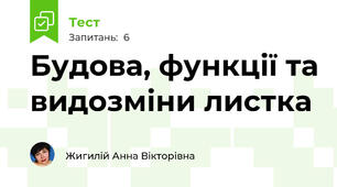 Будова, функції та видозміни листка