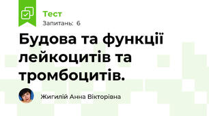 Будова та функції лейкоцитів та тромбоцитів.