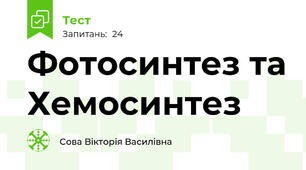 Фотосинтез та Хемосинтез