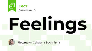 Feelings