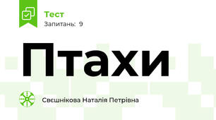 Птахи
